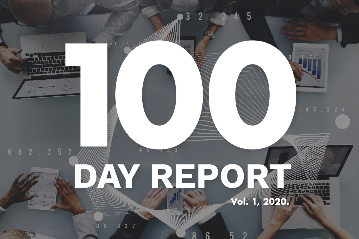 Report - 100 Day Report (2020)